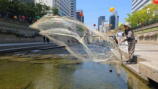7731d71b-31d6-4b49-ac55-1e3a1aea05c1.jpg